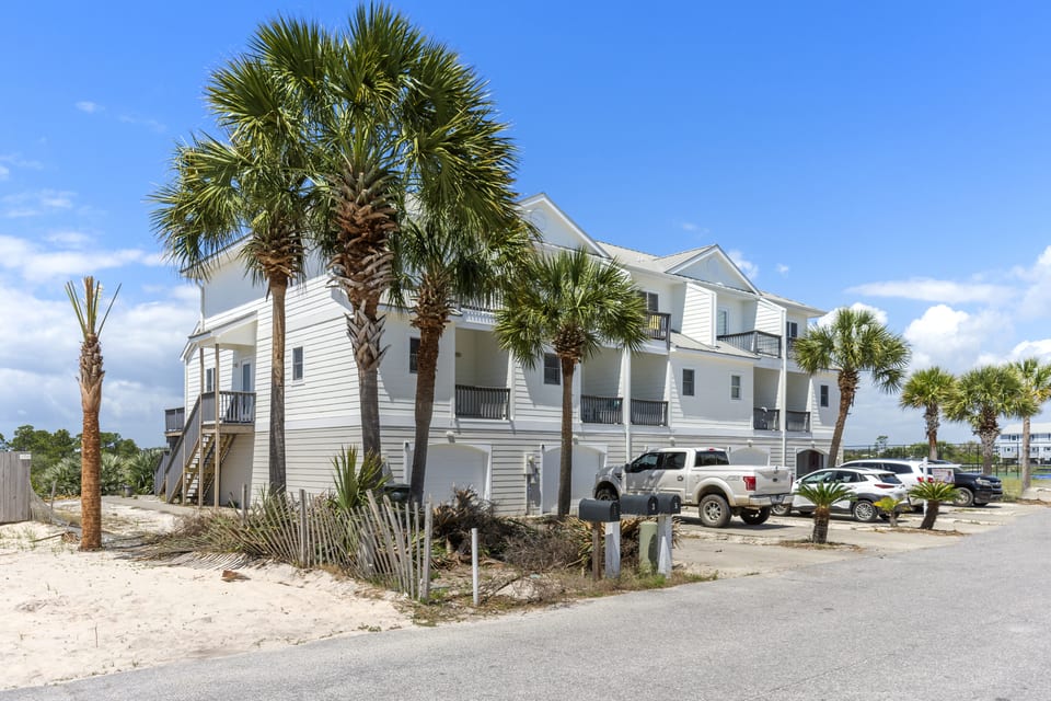 Palms along the front of the building